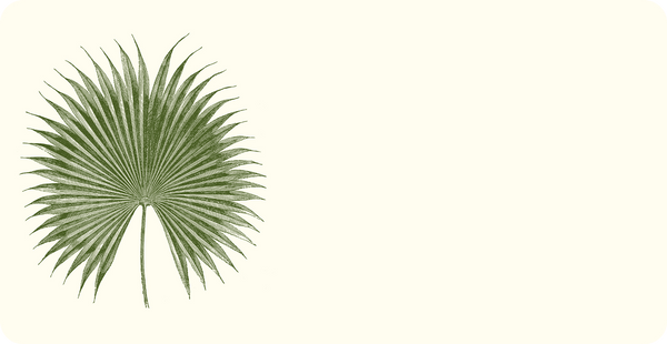 Palm Monarch Notes