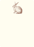 Rabbit A6 Notes