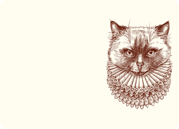 Madame Kitty A6 Notes