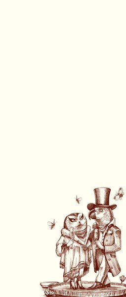 Birds of a Feather Long Pad