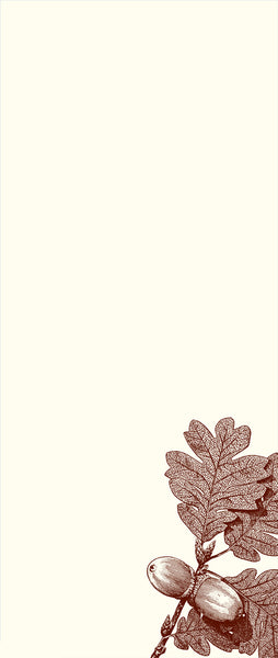 Customizable Acorn Leaf Long Pad