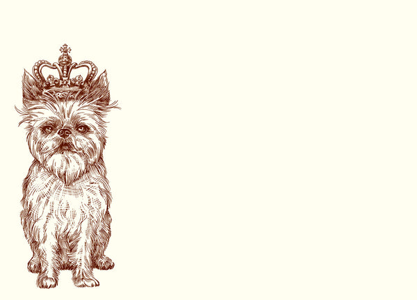 Royal Brussels Griffon A6 Notes