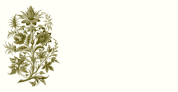 Floral Tapestry Monarch Notes {Pre-Order for June 16th}