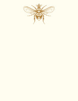 Queen Bee A2 Notes