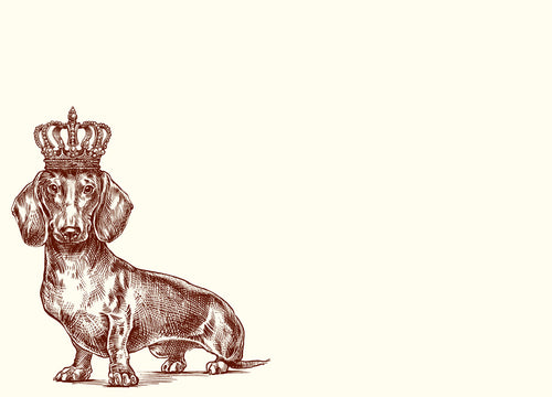 Royal Dachshund A6 Notes