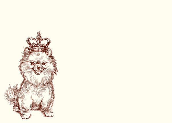 Royal Pomeranian A6 Notes