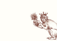 Royal Monkey A6 Notes