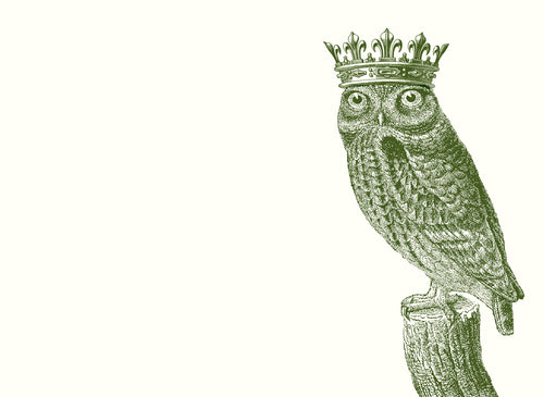 Royal Owl A6 Notes
