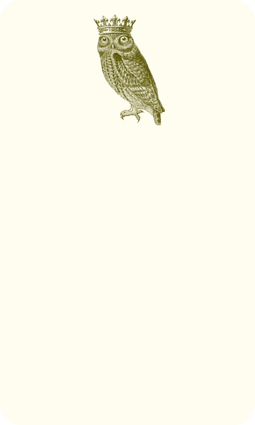 Royal Owl Jotters