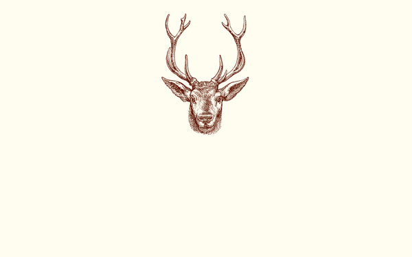 Deer Place Card
