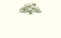 Oak Tree Place Card