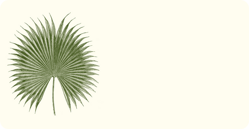 Palm Monarch Notes