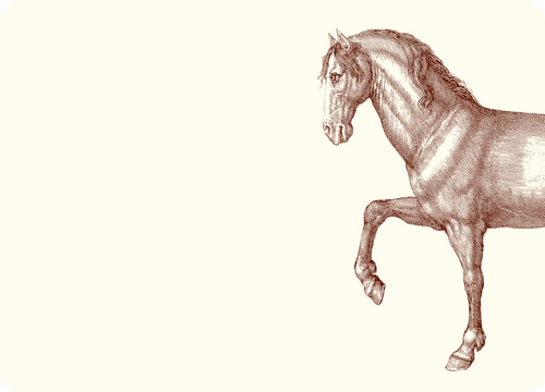 Prancing Horse A6 Notes
