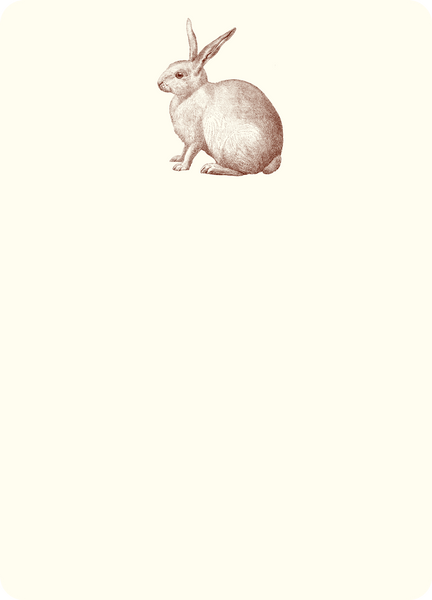 Rabbit A6 Notes