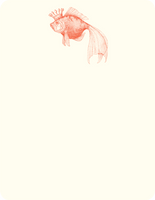 Royal Goldfish A2 Notes