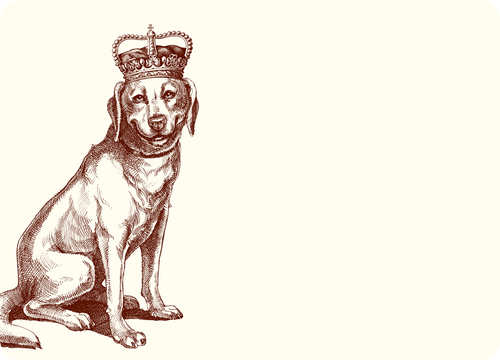 Royal Labrador Retriever A6 Notes