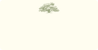 Oak Tree Monarch Notes