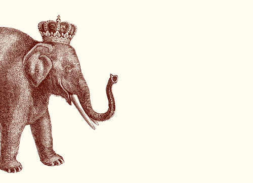 Lucky Elephant A7 Notes