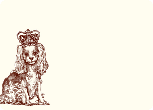 Royal Cavalier King Charles Spaniel A6 Notes