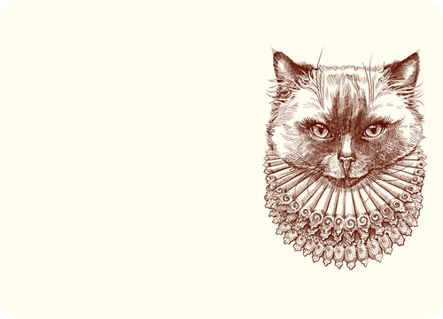 Madame Kitty A6 Notes