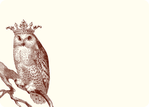 Royal Snowy Owl A6 Notes