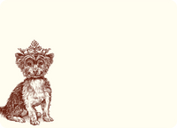 Royal Yorkshire Terrier A6 Notes