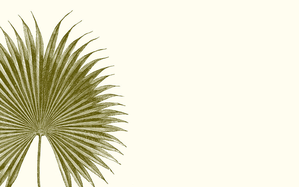 Palm Place Card