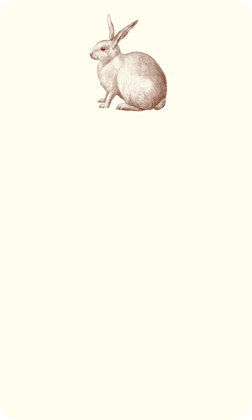 Rabbit Jotters